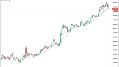 Bitcoin fiyatı düşüşü: Ne kadar daha düşecek?