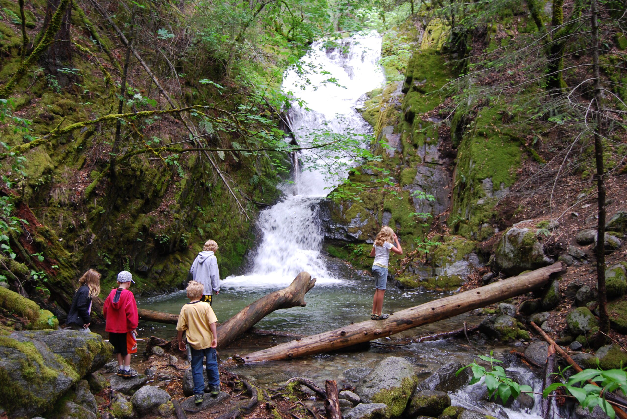 A vibrant scene of children enjoying Waterfall Week near a beautiful waterfall surrounded by nature.