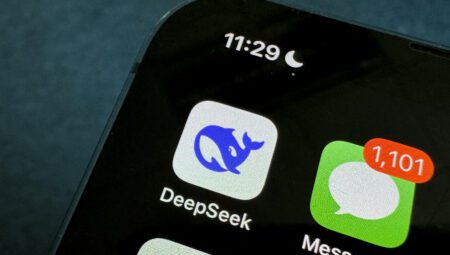 DeepSeek uygulaması: Gizlilik ve Güvenlik Sorunları