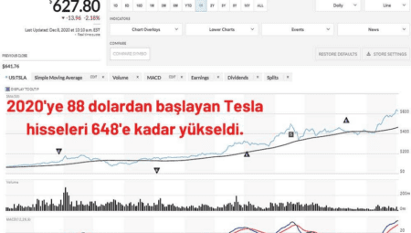 Tesla Hisseleri: Değer Kaybı ve Pazar Analizi